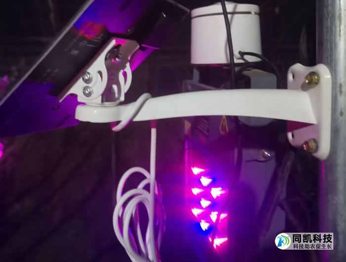 5fe2c0140aeb6.jpg 02.jpg