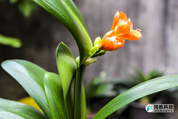 5fe9a1ec6ceed.jpg 01.jpg