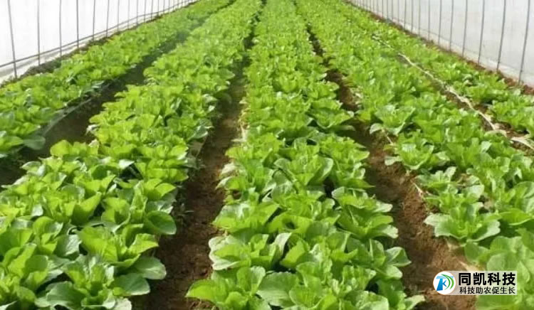 5feb27f4c8695.jpg 01.jpg