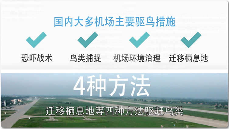 5ff46afce5117.jpg 03.jpg