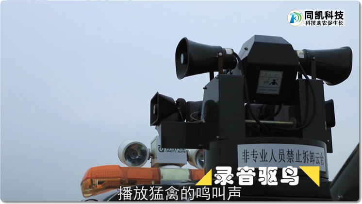 5ff46b48083d2.jpg 04.jpg