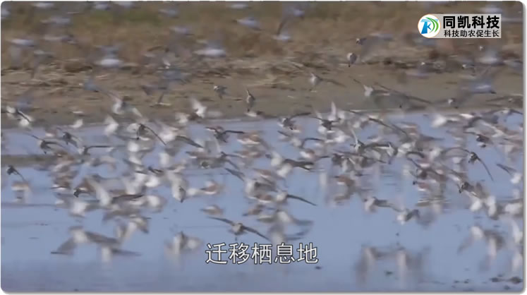 5ff46b660c3fc.jpg 07.jpg