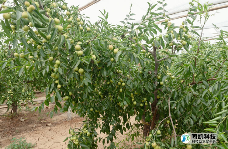 5ff6b27921d0a.jpg 02.jpg