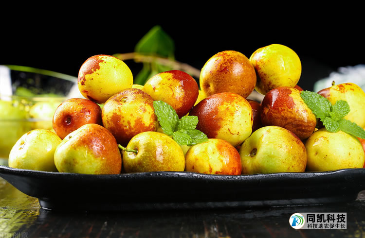 5ff6b28031ef2.jpg 03.jpg