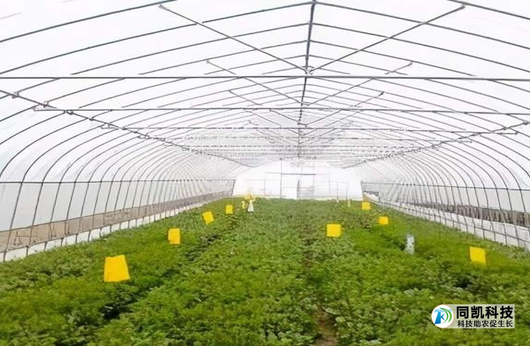 5ff7fc54a4e12.jpg 01.jpg