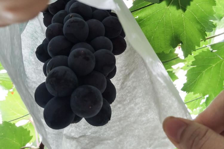 60079a694c1be.jpg 01.jpg