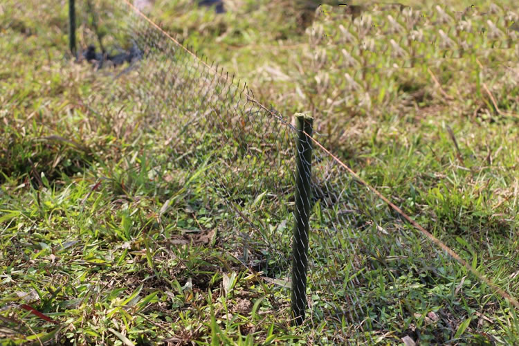 6007a2628ffba.jpg 01.jpg