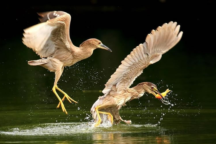 6007c18579d41.jpg 01.jpg