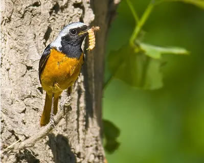 6007de7ca0c7d.jpg 04.jpg