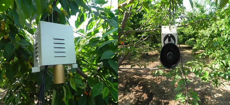 6007de8d5bb68.jpg 05.jpg