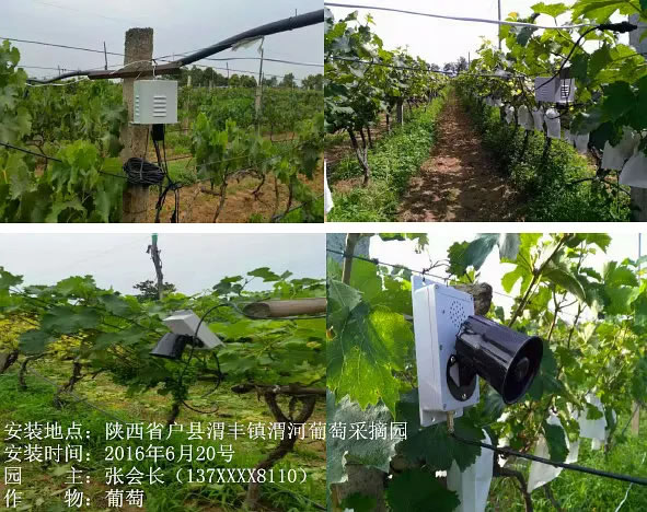 6007de9682c93.jpg 06.jpg