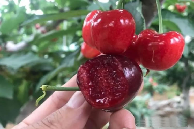 6008f6ac095ee.jpg 01.jpg