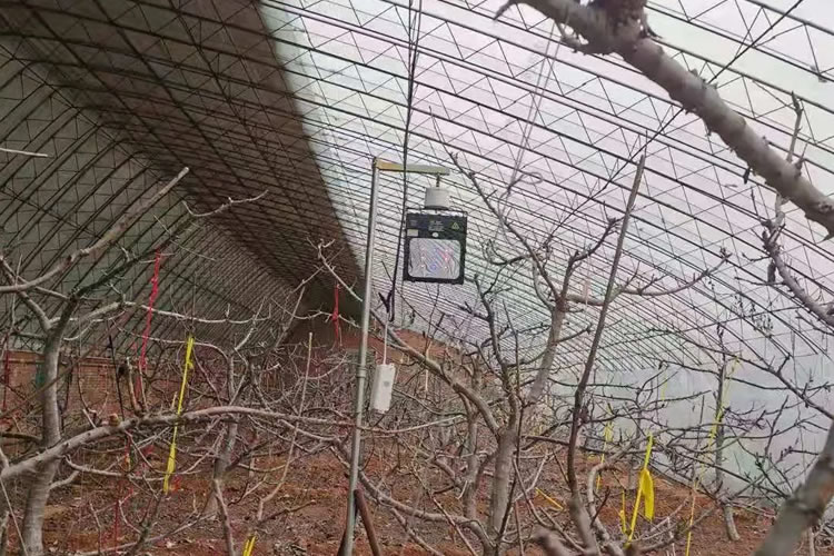 6008f6b29237a.jpg 02.jpg