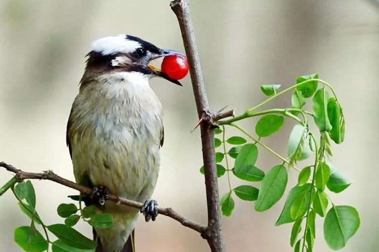 6008f6b954091.jpg 03.jpg