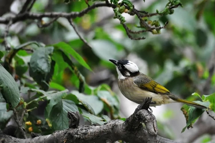 6008f6c6dd84d.jpg 05.jpg