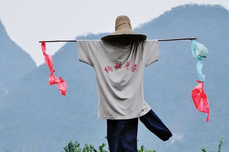 6008f6ce996c6.jpg 06.jpg