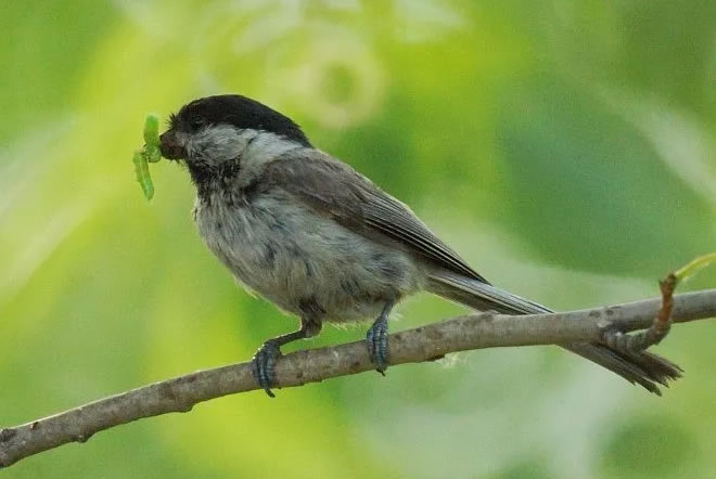 6008f6d5a237e.jpg 07.jpg