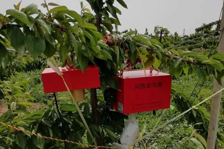 6008f6dcbf929.jpg 08.jpg