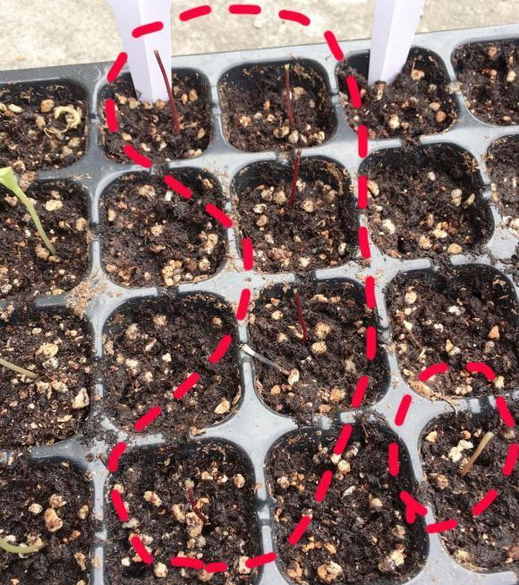 6017bbb6e8a39.jpg 01.jpg