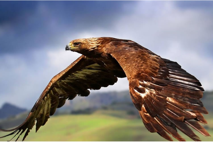 601a04b42bfae.jpg 04.jpg