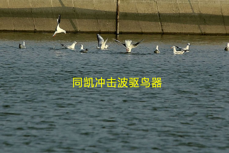 601ca22a13e75.jpg 2.jpg
