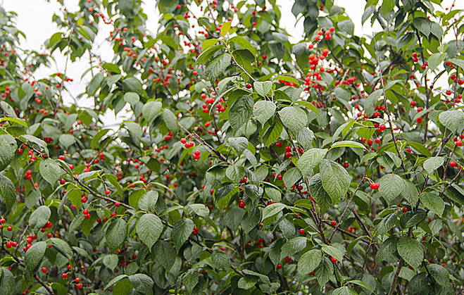60409642e90b8.png image.png